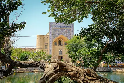 A spreading tree beside the Lyabi Hauz pool, with the Nadir Divanbegi Khanqah beyond the water.